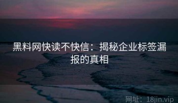 黑料网快读不快信：揭秘企业标签漏报的真相