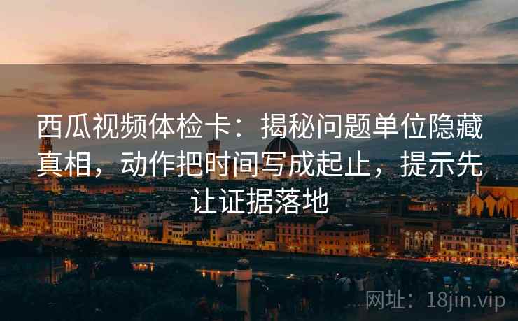 西瓜视频体检卡：揭秘问题单位隐藏真相，动作把时间写成起止，提示先让证据落地