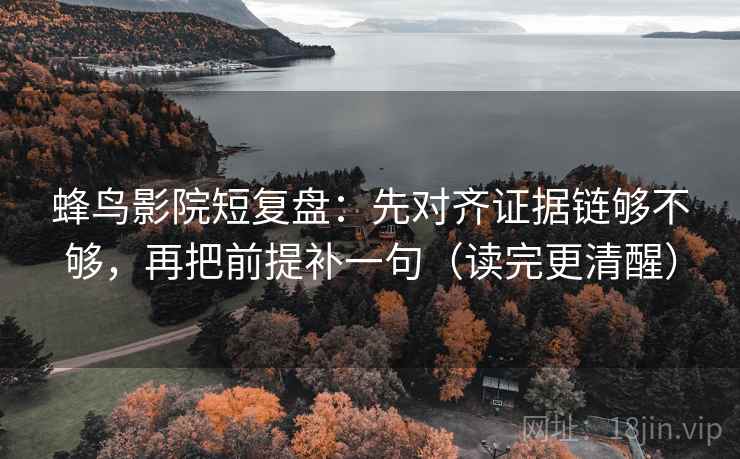 蜂鸟影院短复盘：先对齐证据链够不够，再把前提补一句（读完更清醒）