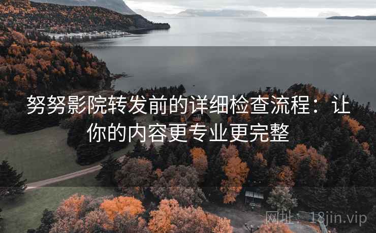 努努影院转发前的详细检查流程：让你的内容更专业更完整